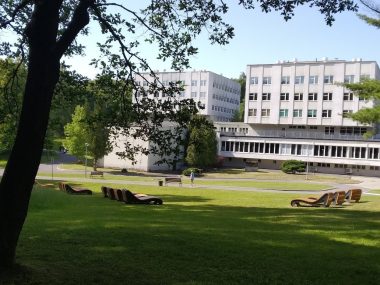 Możemy mieć nowy amfiteatr w Parku Repeckim Park repecki tarnowskie góry amfiteatr