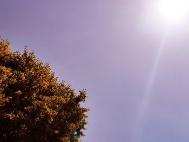 Kolejny alert RCB - będą burze czy to fałszywy alarm? Pogoda w Rudzie daleka od burzowej