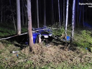 Łoś spowodował wypadek na DK1. Kobieta ciężko ranna Policja pszczyna 5 05 2023 1