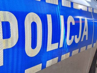Potrąciła sarnę. Nie miała prawa jazdy, jechała po alkoholu Policja
