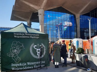 Punkt weterynaryjny powstał przed dworcem PKP w Katowicach Punkt weterynaryjny przed dworcem PKP w Katowicach