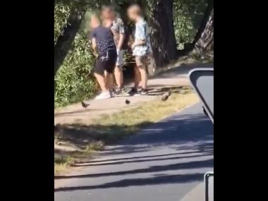 Rzucali kamieniami w nutrie nad Nacyną w Rybniku Rzucali kamieniami w nutrie