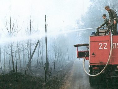 Na pogorzelisku z 1992 r. w Kuźni Raciborskiej szumi już las Pożar w Kuźni Raciborskiej