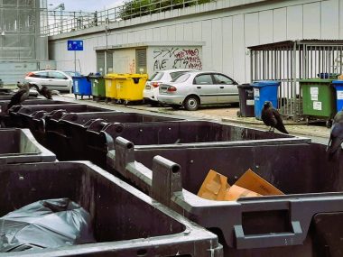 Koniec z katowickim Palermo na Tylnej Mariackiej Tylna mariacka wiata smieci
