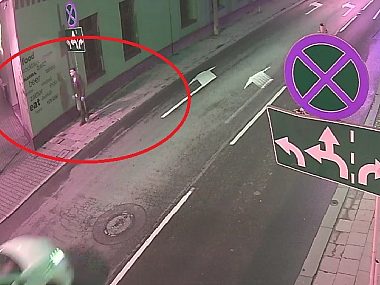 Złodziej drzewa wartego 1000 zł poszukiwany przez policję Ukradl drzewo katowice 01