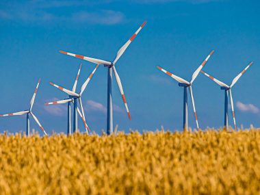 Byli górnicy będą pracować na farmach wiatrowych Farma wiatrowa (zdjęcie ilustracyjne)