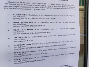 Jak głosowali rudzianie - dzielnica Wirek Wyborywirek