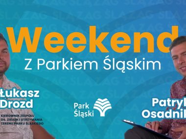 Parkowe Rosarium do remontu, ale... „Rewolucji nie będzie” Weekend z Parkiem Śląskim