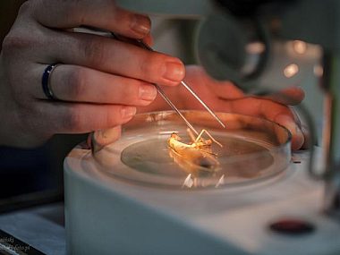 Tajemnice życia - od komórki do biosfery. XIII Noc Biologów Xiii noc biologow us katowice 2024 2