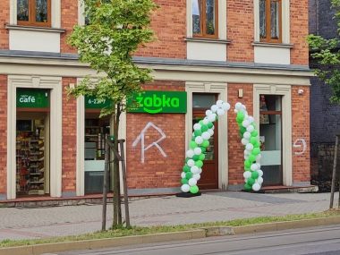 Nowy Bytom ostoją płazów Żabka na Żabce - na odcinku 350 metrów są cztery