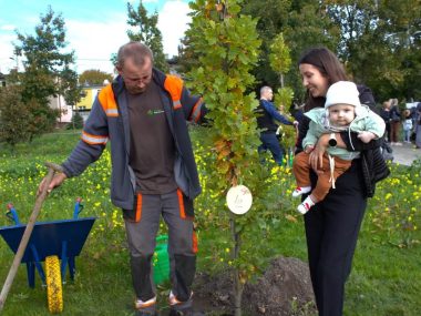 „Drzewko za dziecko”. Wyjątkowa akcja w Świętochłowicach Drzewko za dziecko Wyjątkowa akcja w Świętochłowicach