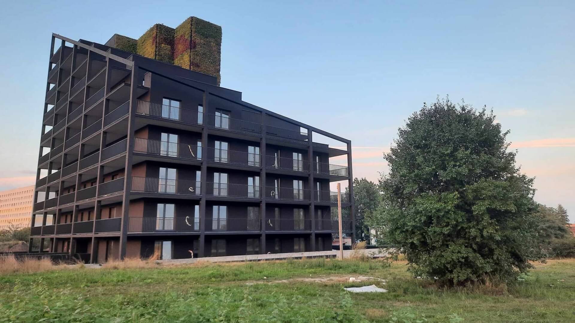 Budynek zorro zory 11