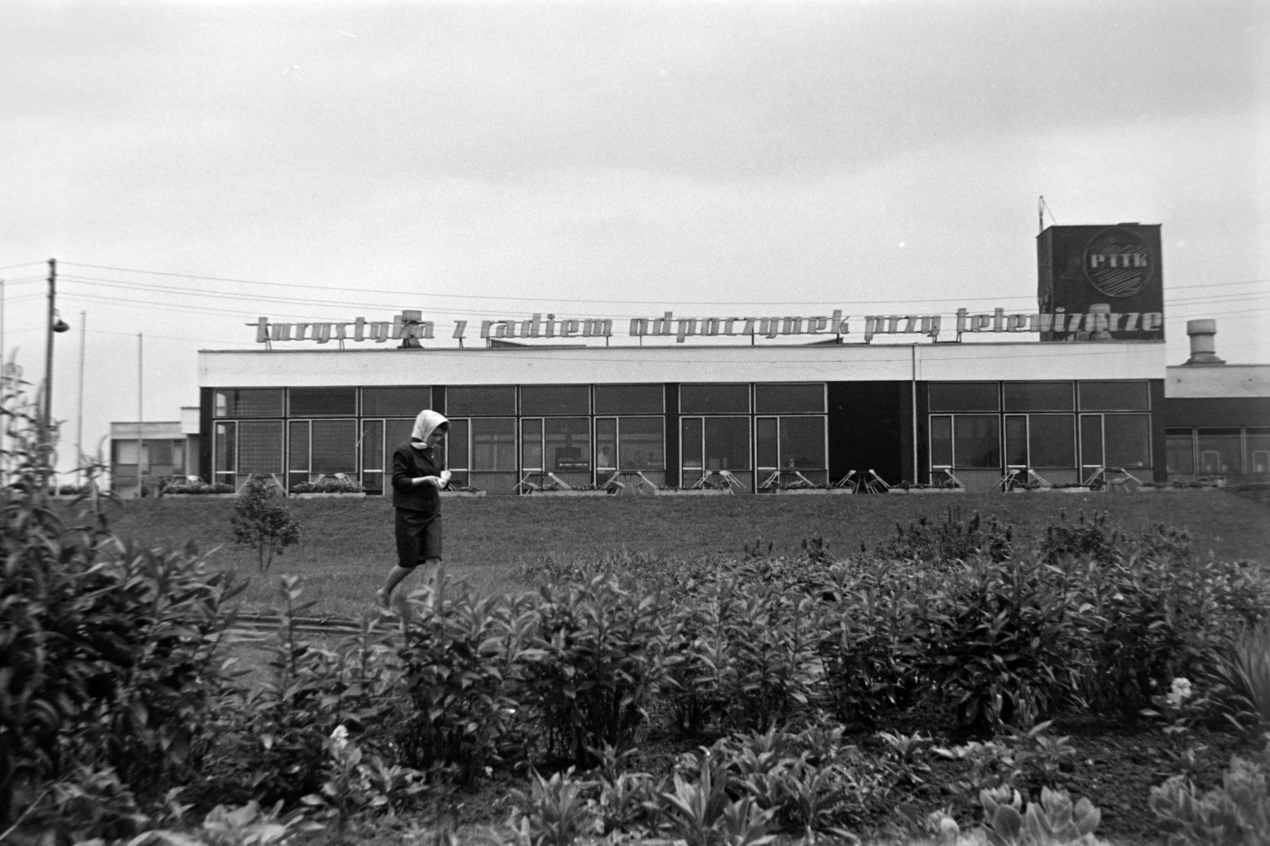 Chorzów. Hotel PTTK w WPKiW, 1964 r.