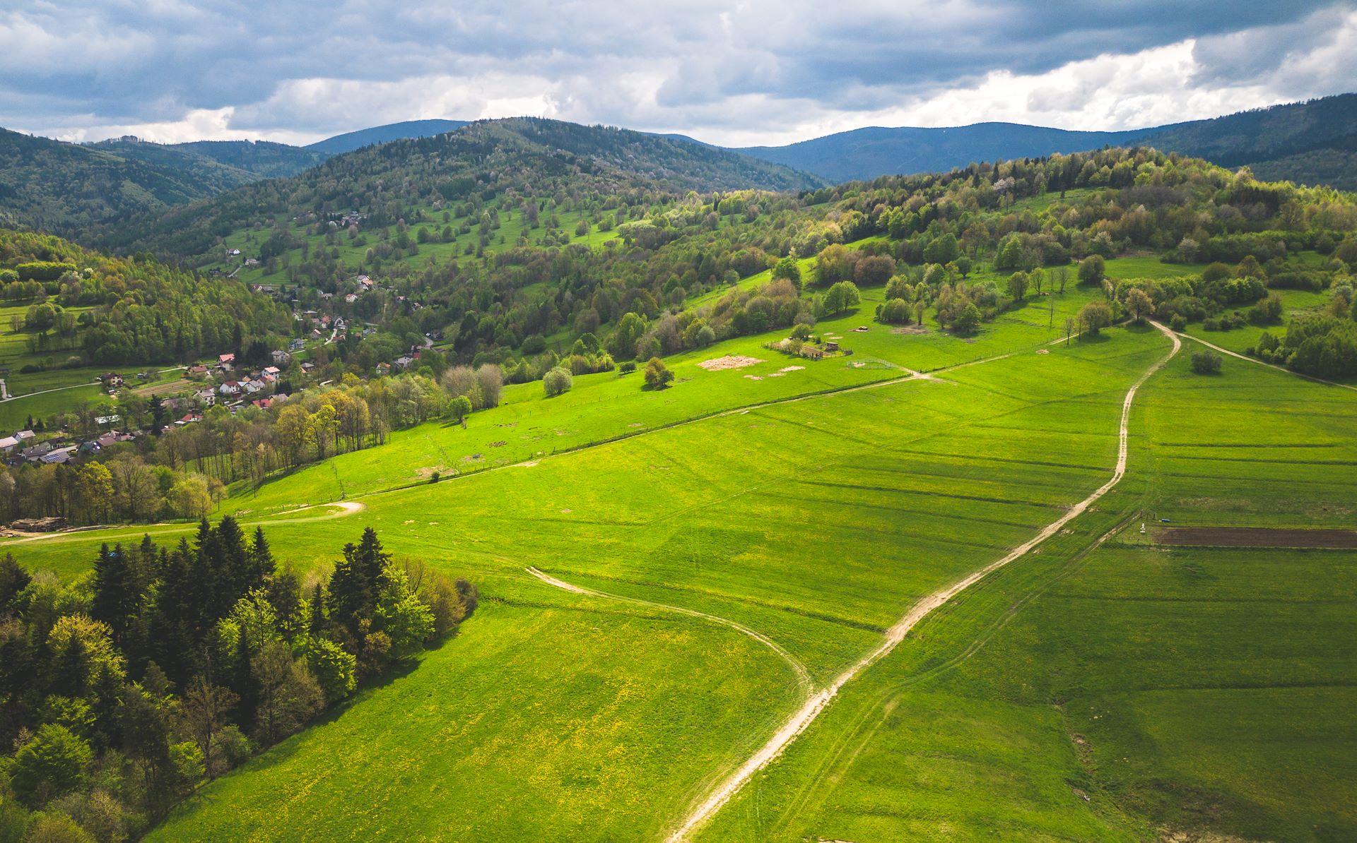 Cięcina. Fot. Marcin Nowak