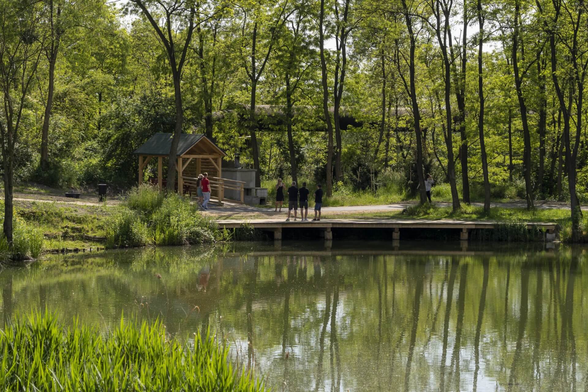 Geopark otwarcie Zabrze