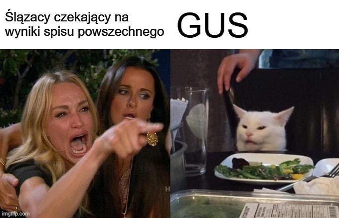 Spis powszechny mem