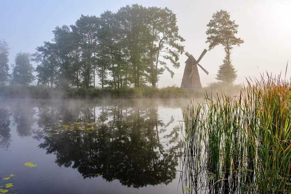 Staw z młynem w Kaletach