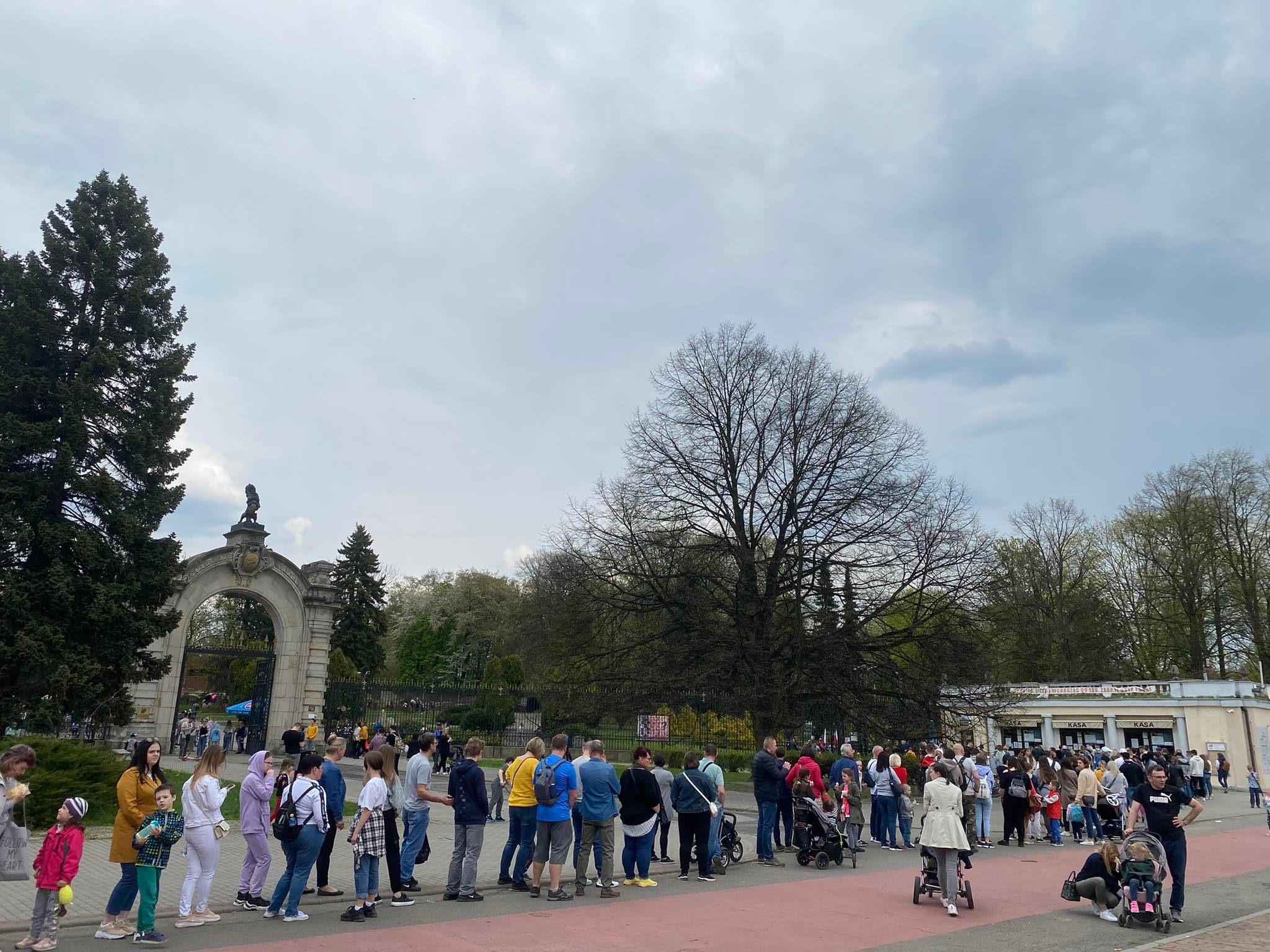 Kolejka do zoo w Parku Śląskim3