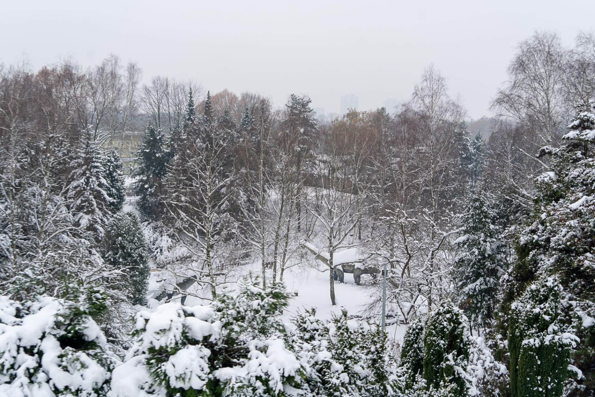 Kolejka elka 2 linia park slaski 21