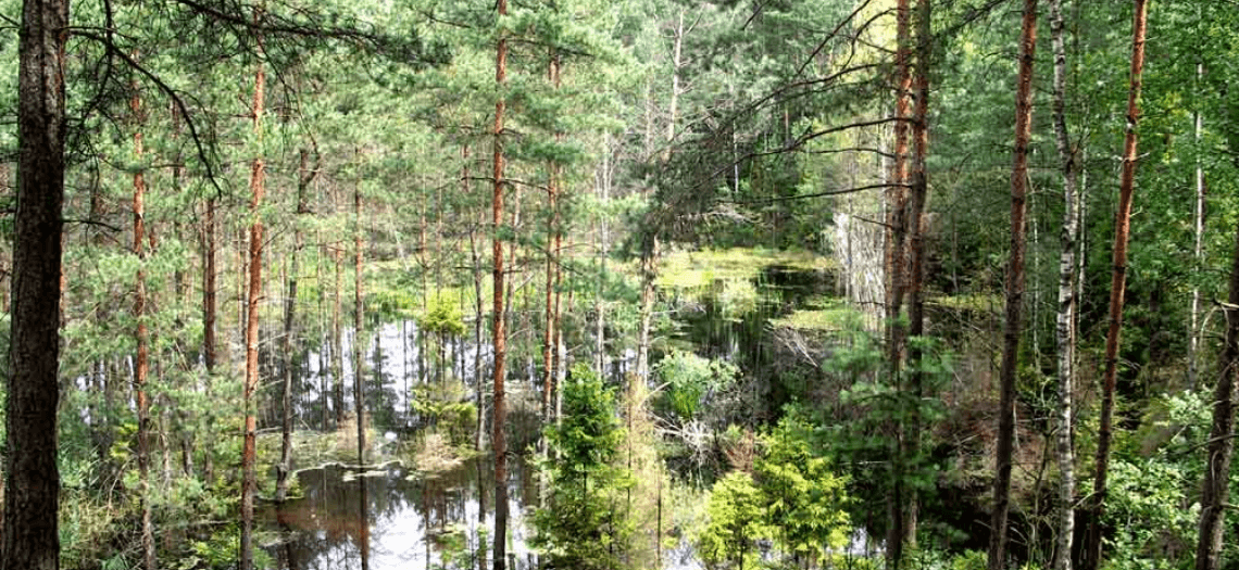 Kolorowe jeziorka Bibiela