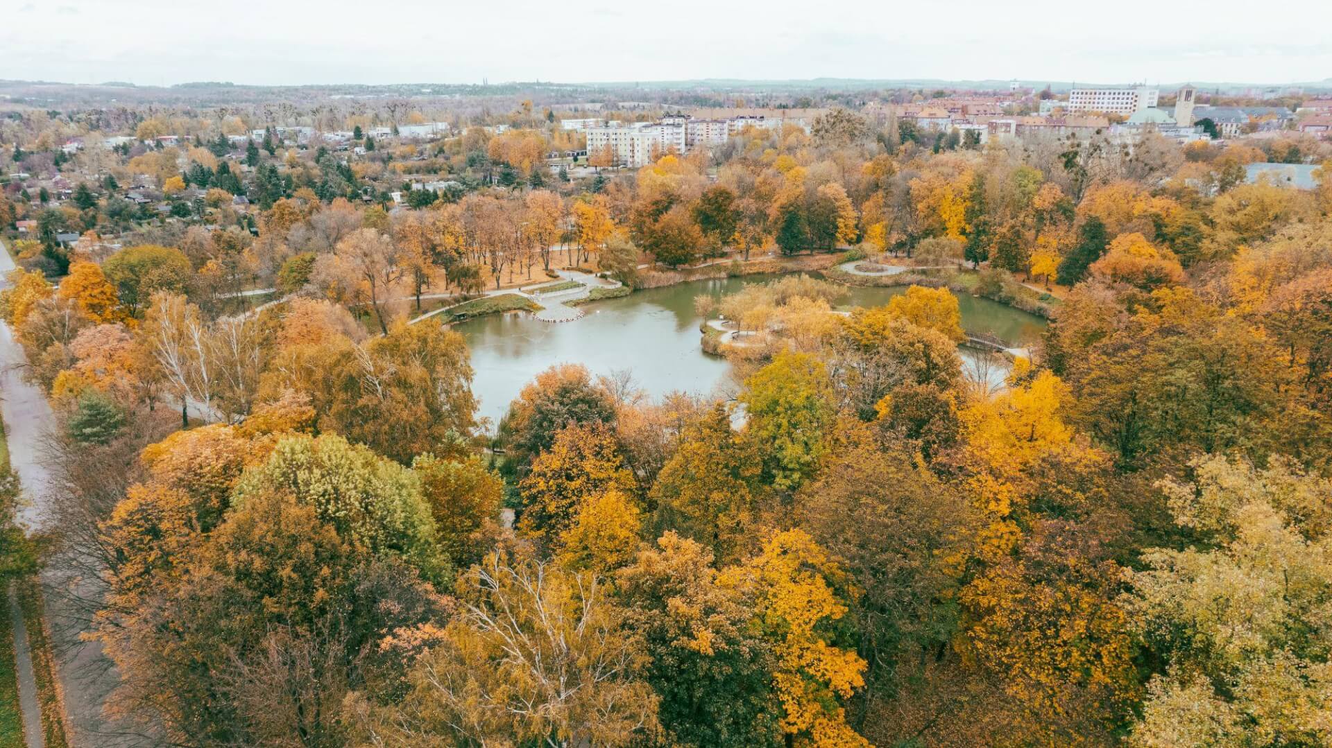 Park kachla bytom jesien 01