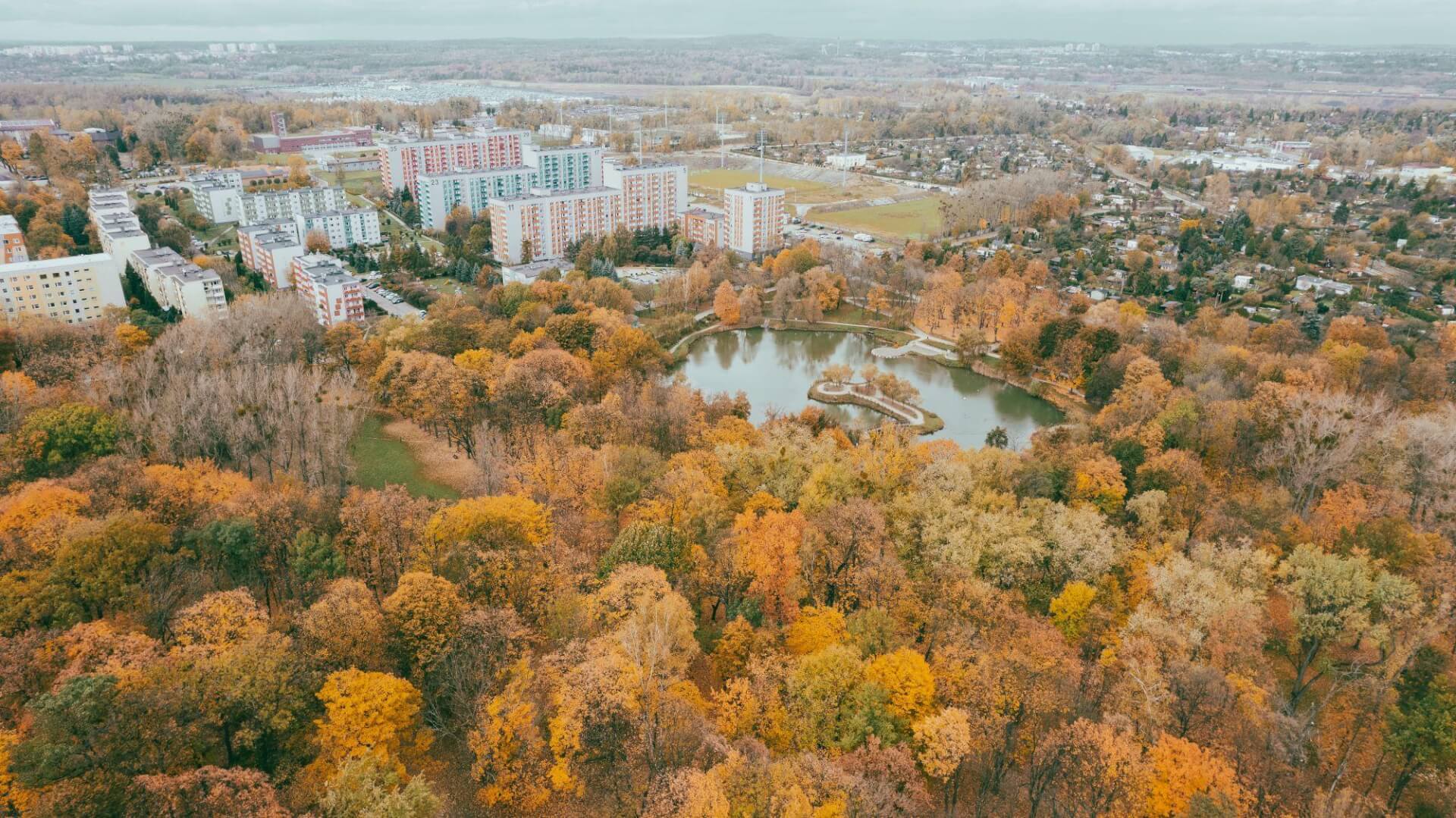 Park kachla bytom jesien 27