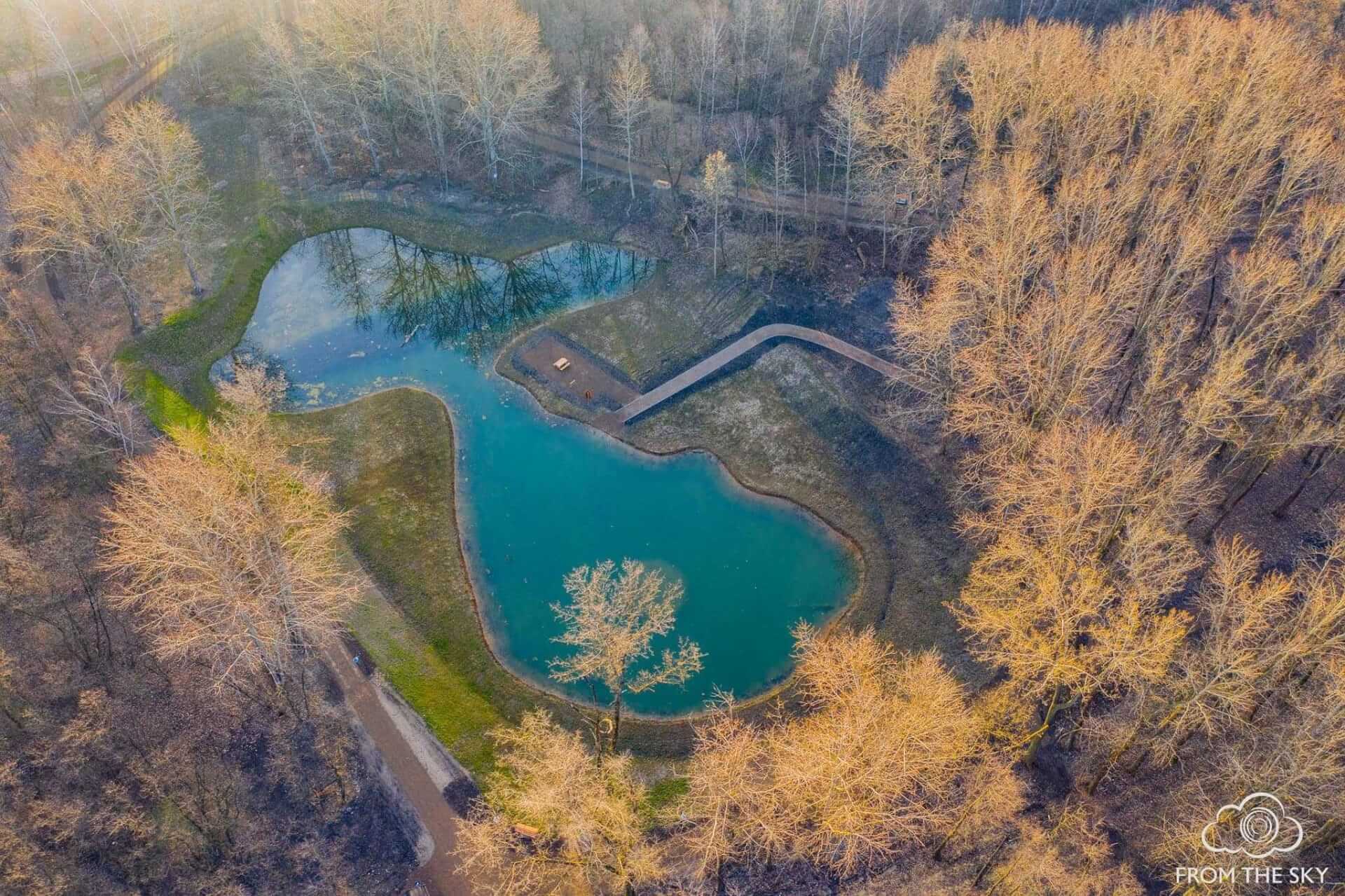 Park Tysiąclecia w Sosnowcu