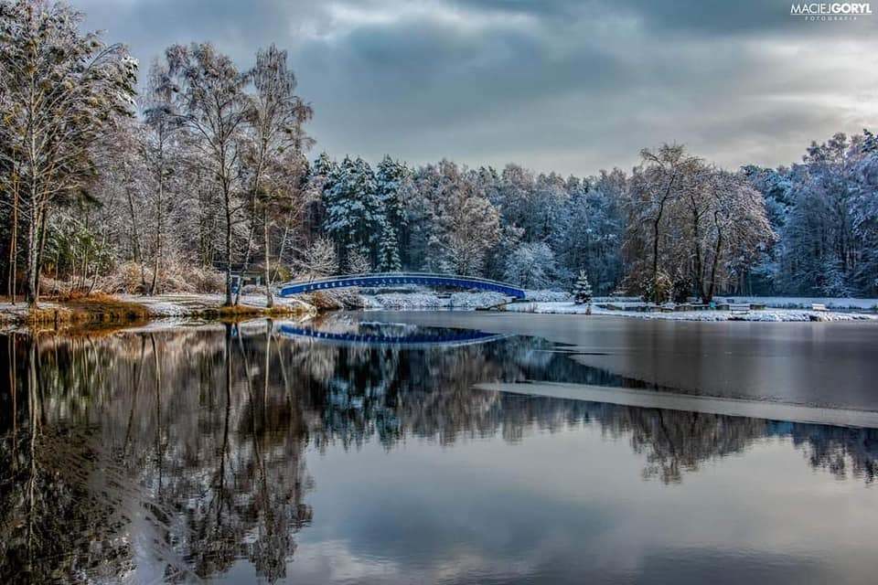 Pniowiec, północna część Tarnowskich Gór