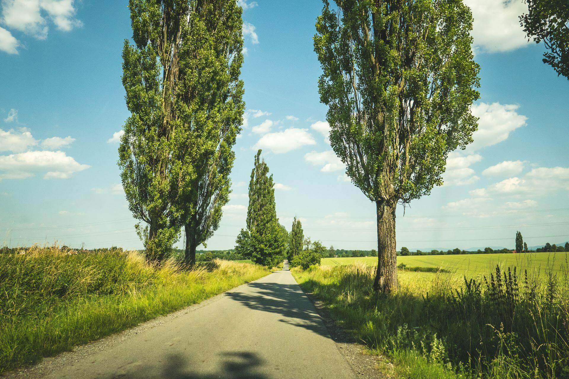 Pogórze Śląskie. Fot. Marcin Nowak