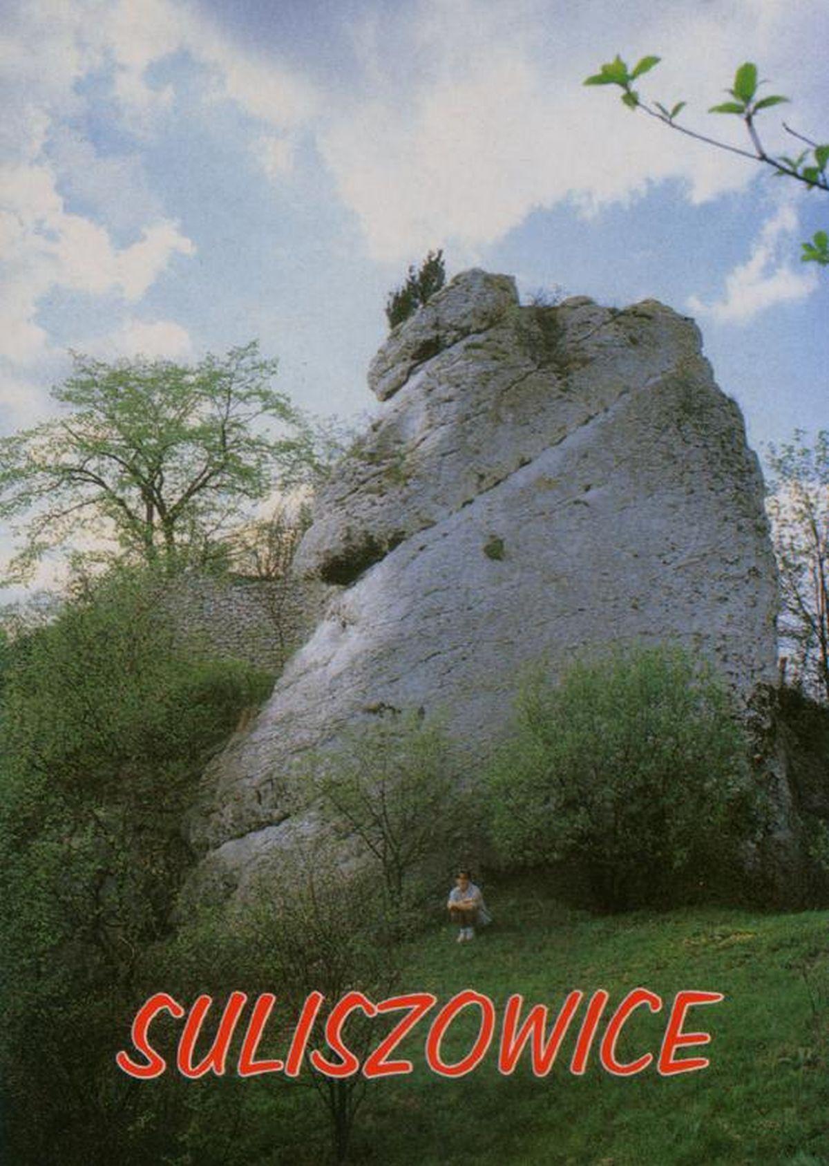 Oto Suliszowice. A gdzie Godzilla?