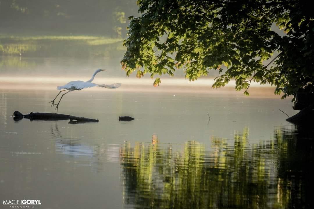 park w świerklańcu