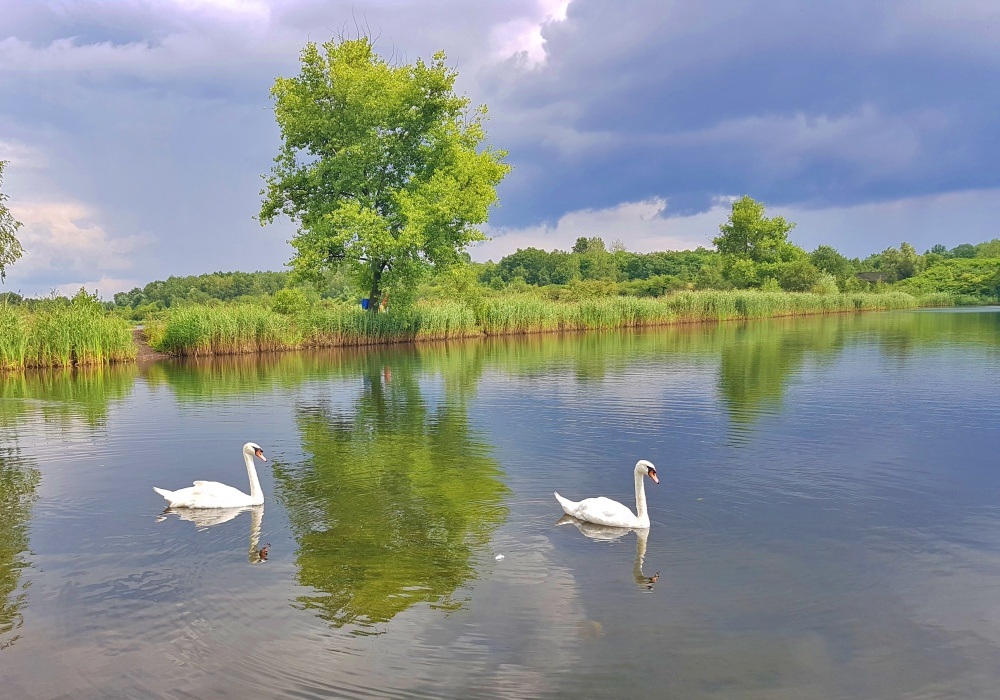 Żabie Doły (fot. Maciej Poloczek)