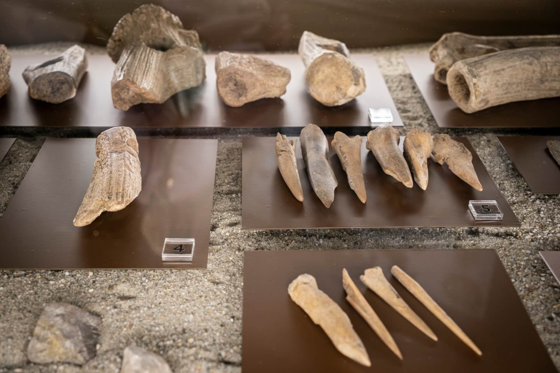 "Góra Zyndrama Tajemnicza twierdza sprzed 3700 lat" w Muzeum Śląskim