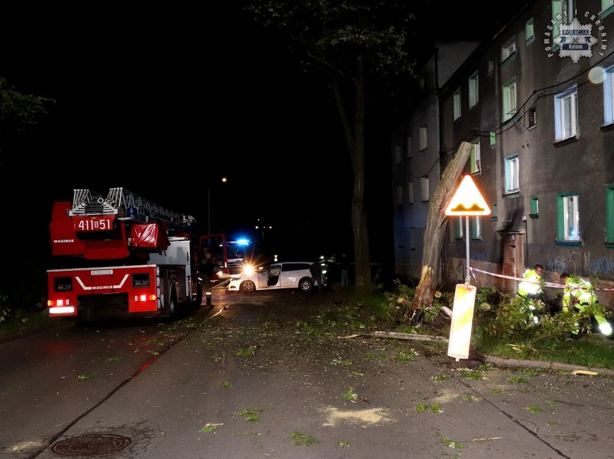 Kierowca uderzył w drzewo