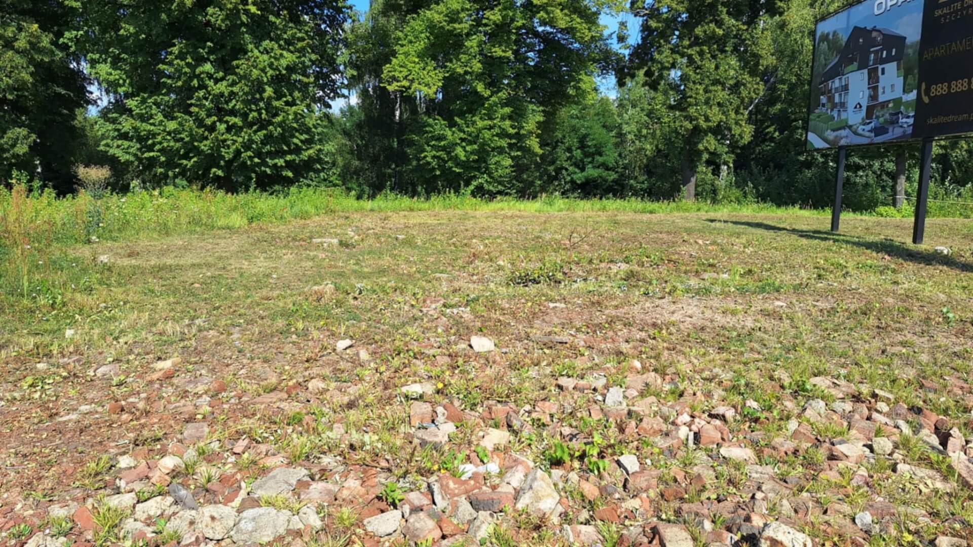 Pozostałości po zabudowaniach Dąbrowy Miejskiej