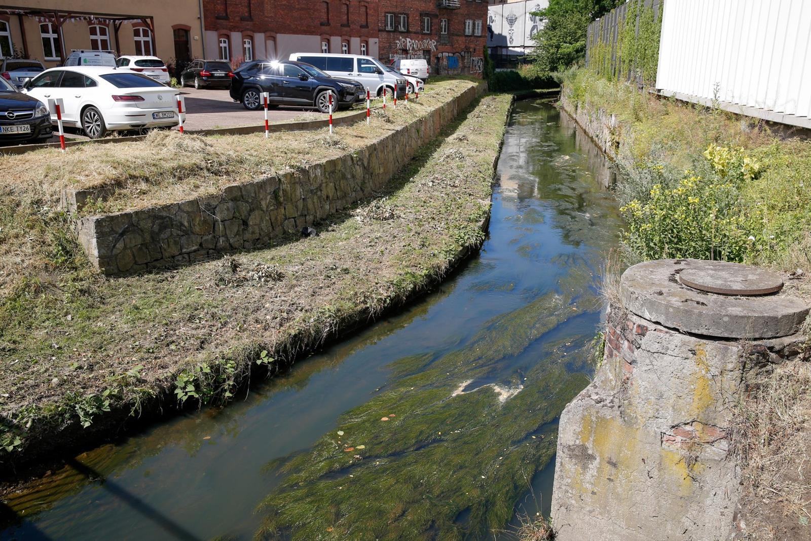 Oczyszczanie Rawy, Katowice