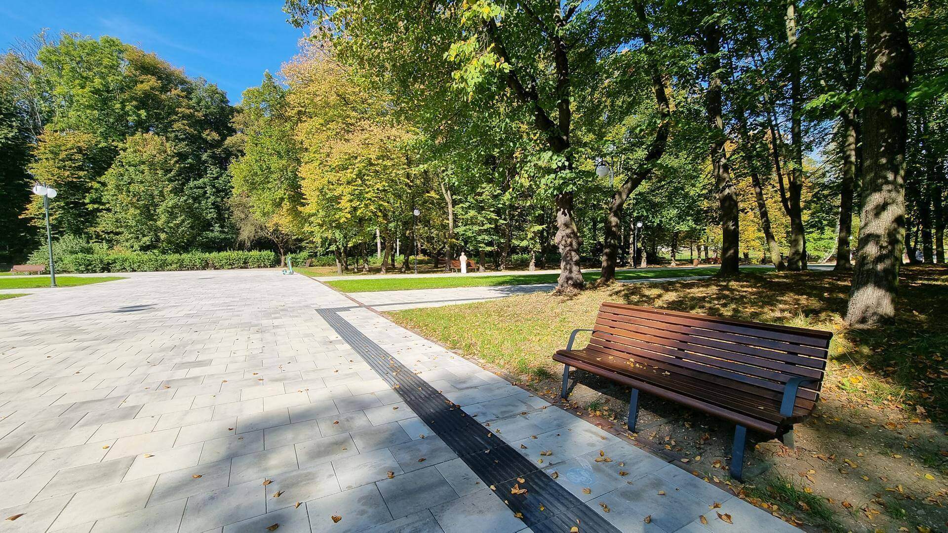 Aleja Żyrafy w Parku Śląskim po modernizacji
