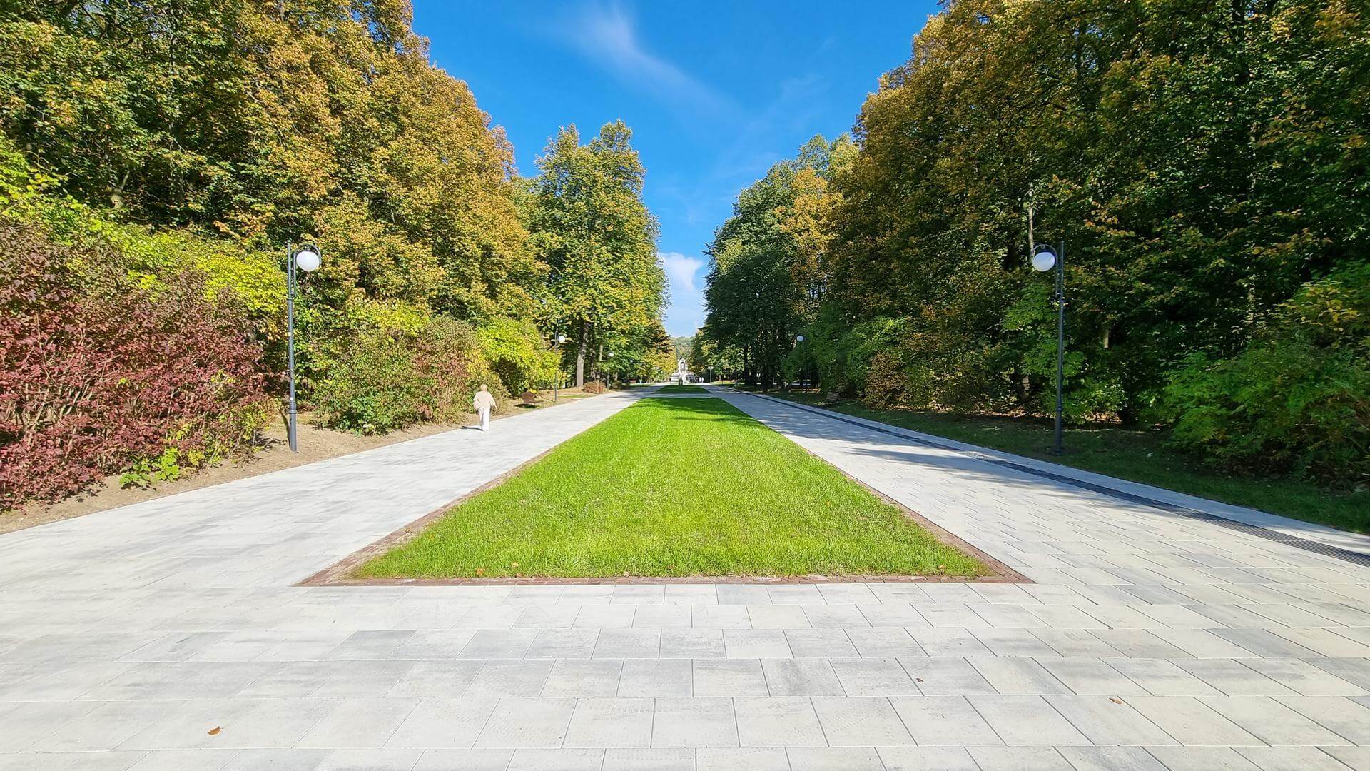 Aleja Żyrafy w Parku Śląskim po modernizacji