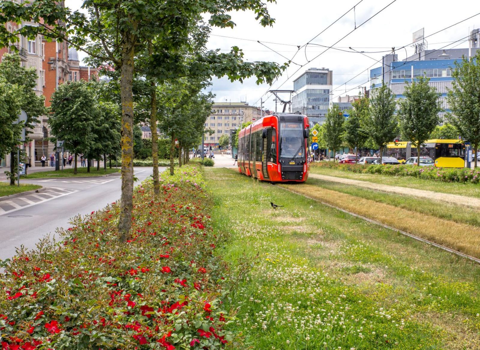 Aleja Korfantego, Katowice