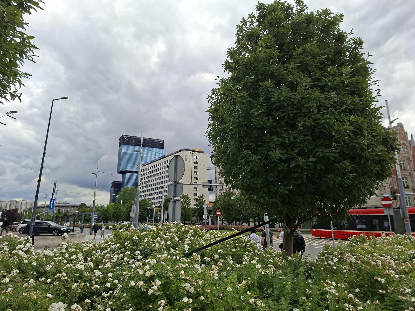 Aleja Korfantego Katowice
