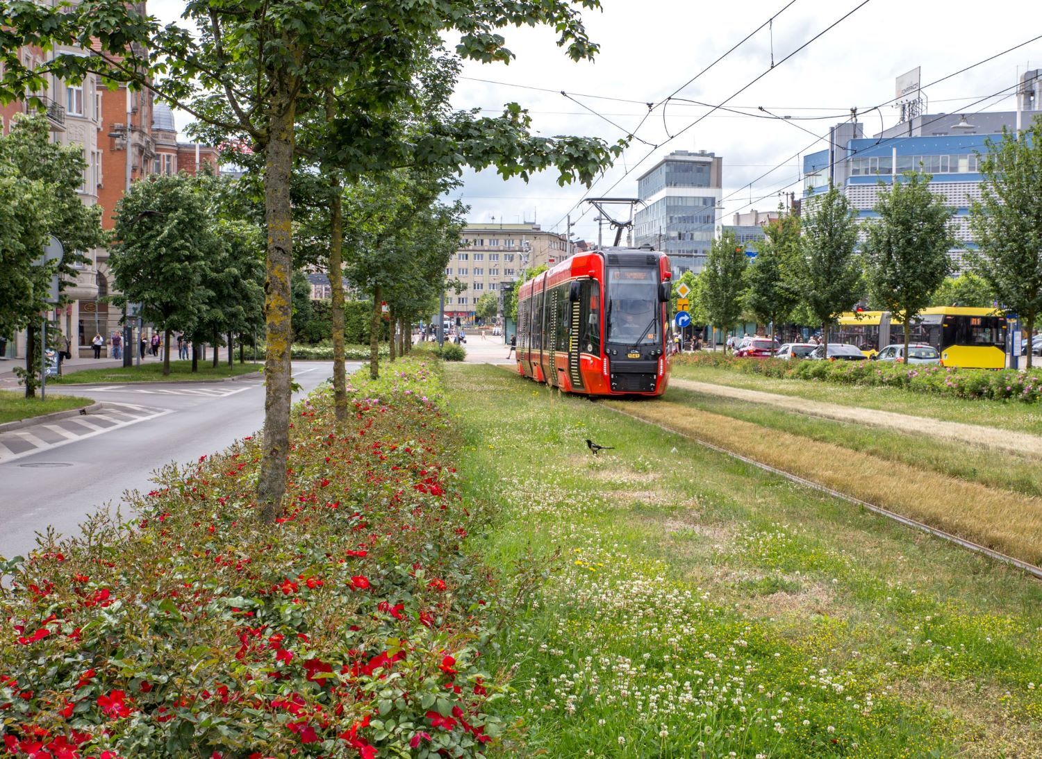 Aleja Korfantego, Katowice