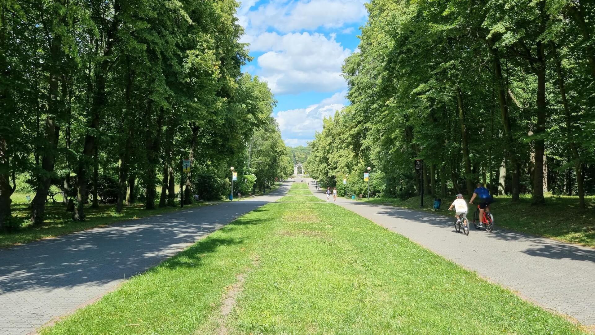 Aleja Żyrafy, Park Śląski