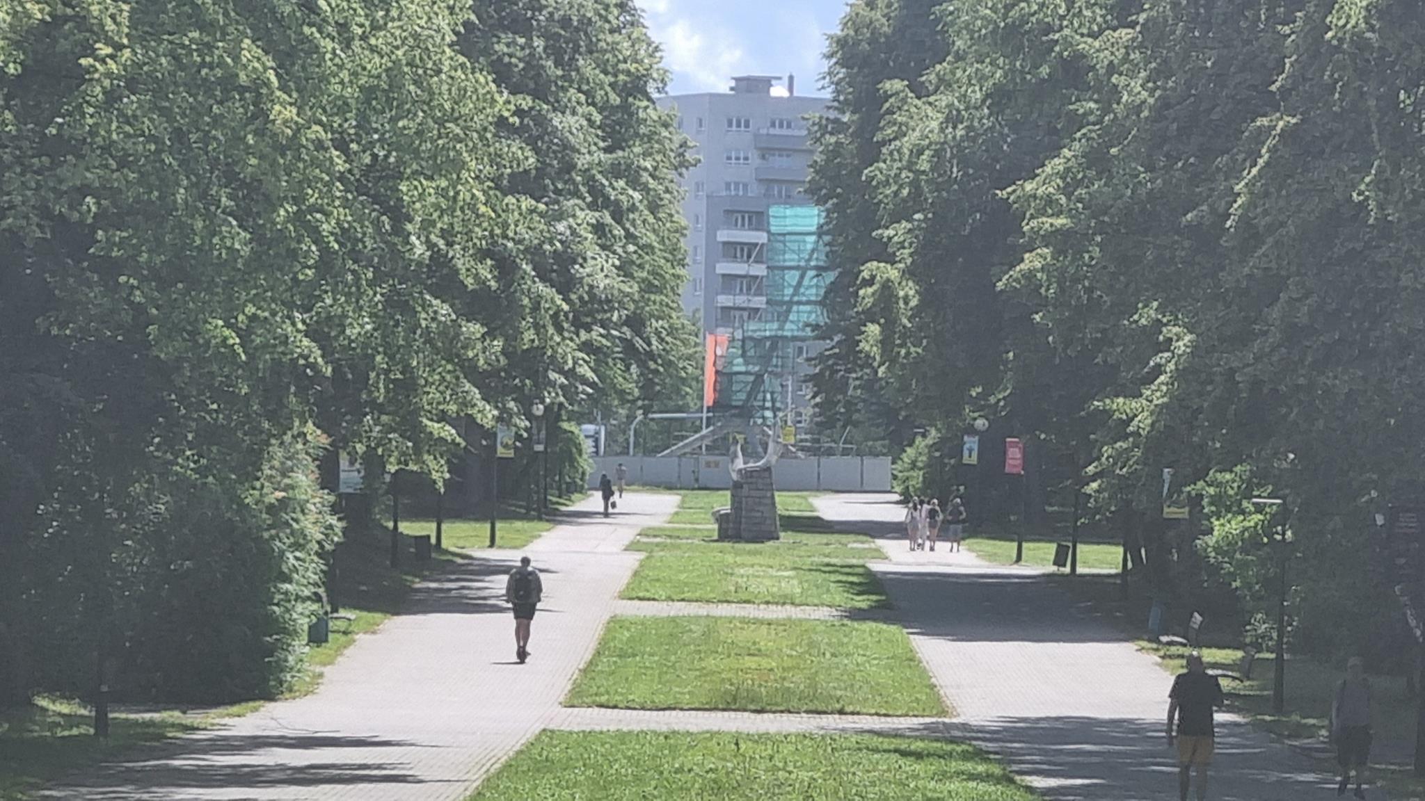 Aleja Żyrafy, Park Śląski