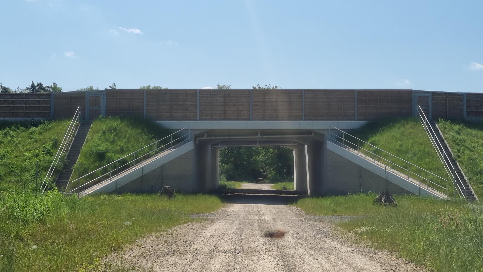 Alojzy Lysko i kraina jego dzieciństwa