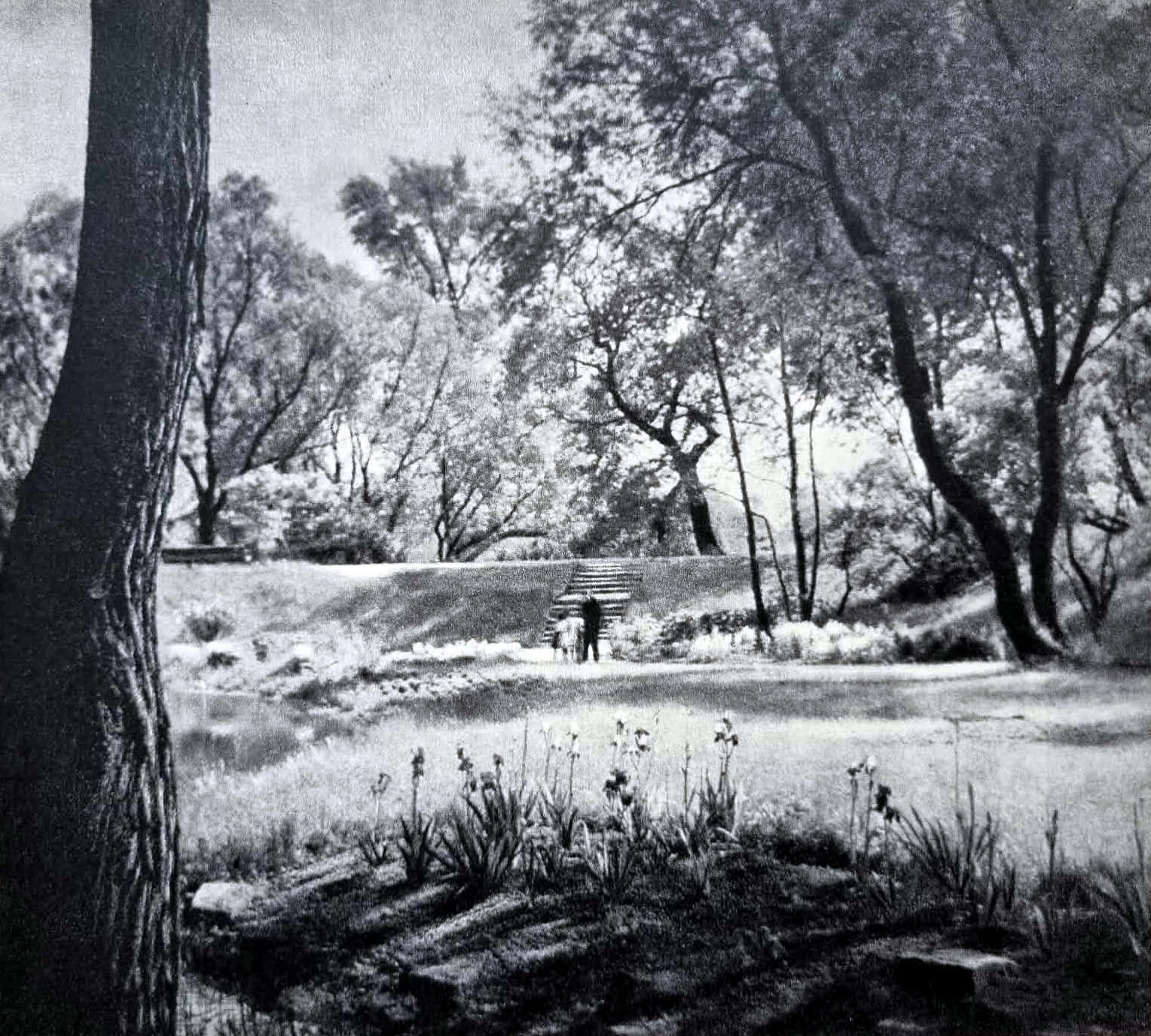 Czy to też zdjęcie dawnego Alpinarium?