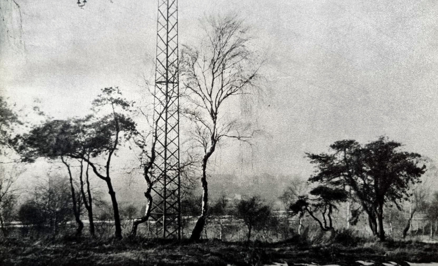 Teren przyszłego Alpinarium w początkach lat 50.