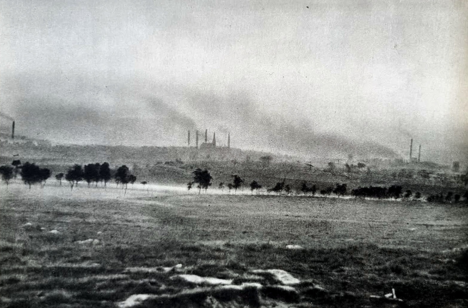 Fotografia z początku lat 50. Na tym terenie powstało m.in. Alpinarium