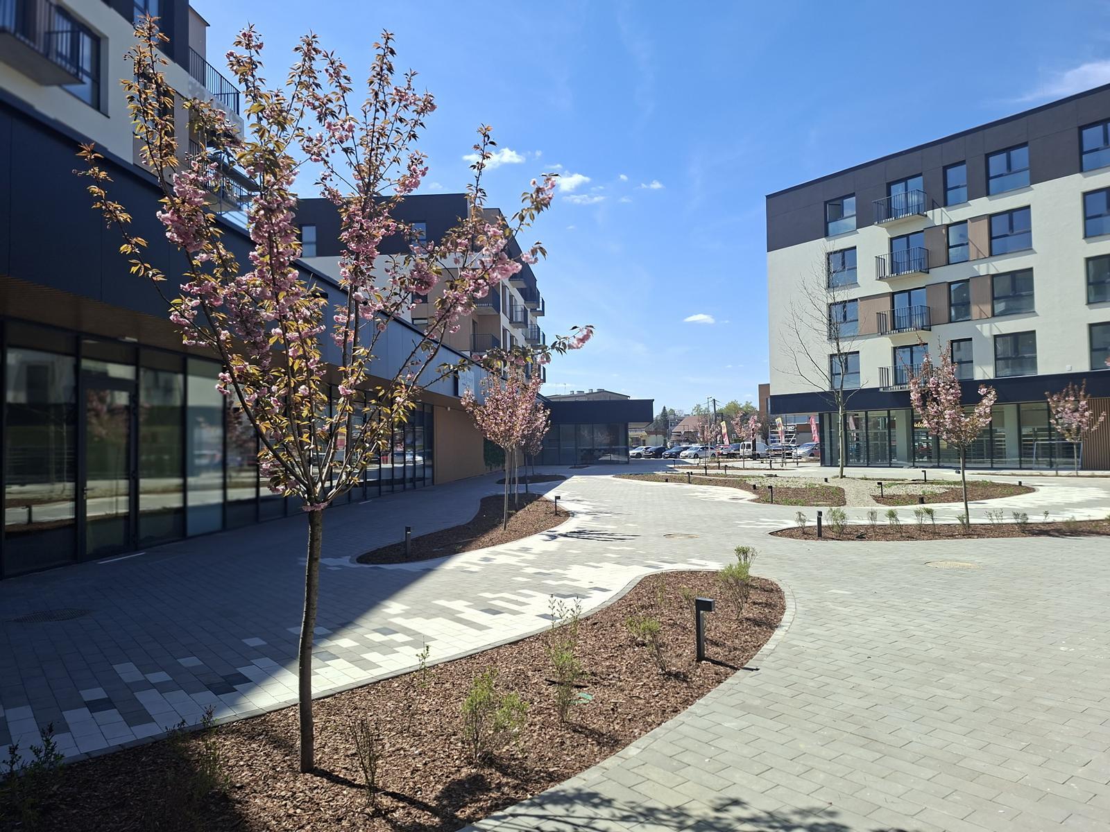 Apartamenty Jankego, Katowice