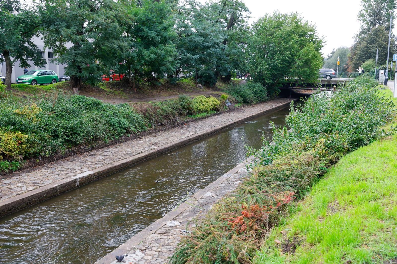 Oczyszczanie Rawy, Katowice