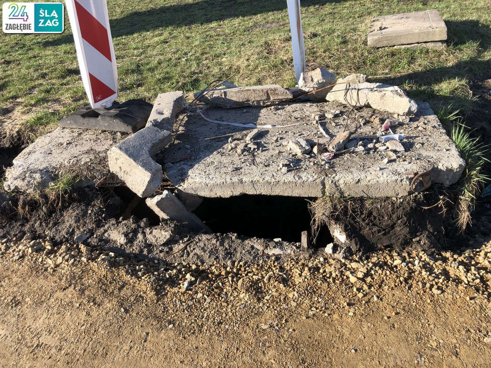 Pieski weźcie na smycz. Dzieciaki lepiej też...